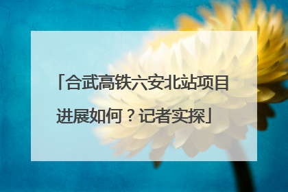 合武高铁六安北站项目进展如何？记者实探