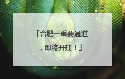 合肥一重要通道，即将开建！