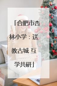 合肥市杏林小学：送教古城 互学共研