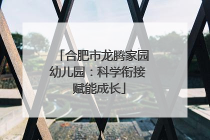 合肥市龙腾家园幼儿园：科学衔接 赋能成长