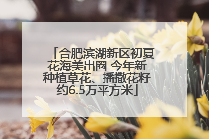 合肥滨湖新区初夏花海美出圈 今年新种植草花、播撒花籽约6.5万平方米