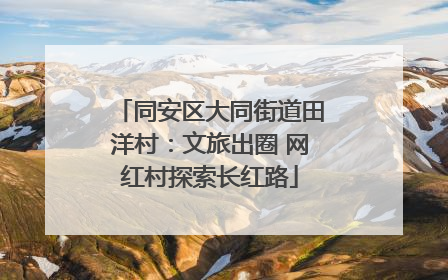同安区大同街道田洋村：文旅出圈 网红村探索长红路