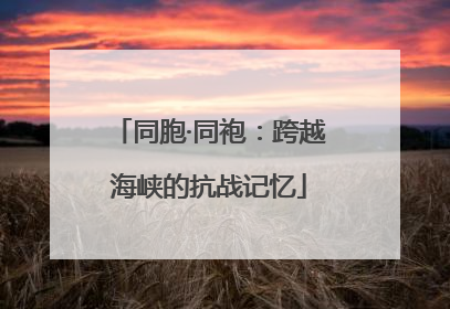 同胞·同袍：跨越海峡的抗战记忆