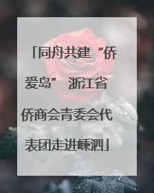 同舟共建“侨爱岛” 浙江省侨商会青委会代表团走进嵊泗