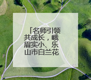 名师引领共成长，峨眉实小、乐山市白兰花工作站送教南山学区