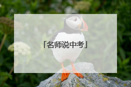 名师说中考