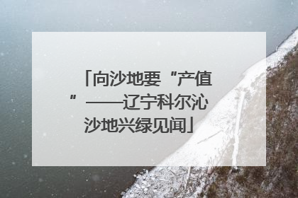 向沙地要“产值”——辽宁科尔沁沙地兴绿见闻