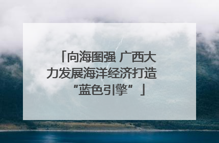 向海图强 广西大力发展海洋经济打造“蓝色引擎”
