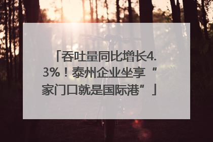 吞吐量同比增长4.3%！泰州企业坐享“家门口就是国际港”