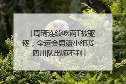周琦连续吃两T被驱逐，全运会男篮小组赛四川队出师不利