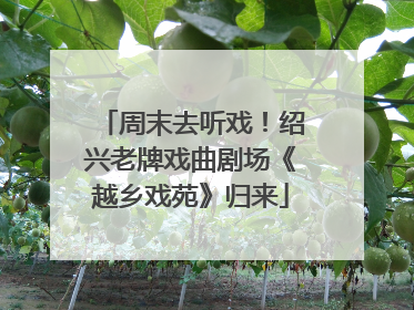 周末去听戏！绍兴老牌戏曲剧场《越乡戏苑》归来