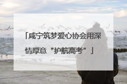 咸宁筑梦爱心协会用深情厚意“护航高考”