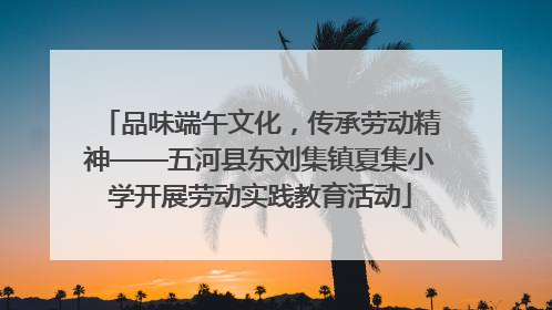 品味端午文化，传承劳动精神——五河县东刘集镇夏集小学开展劳动实践教育活动