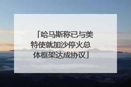 哈马斯称已与美特使就加沙停火总体框架达成协议