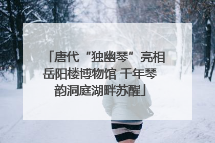 唐代“独幽琴”亮相岳阳楼博物馆 千年琴韵洞庭湖畔苏醒