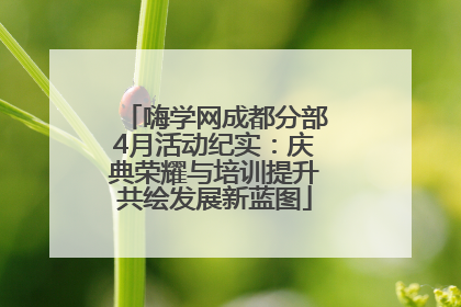 嗨学网成都分部4月活动纪实：庆典荣耀与培训提升共绘发展新蓝图