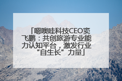 嗯噢哇科技CEO窦飞鹏：共创旅游专业能力认知平台，激发行业“自生长”力量