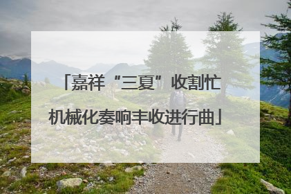 嘉祥“三夏”收割忙 机械化奏响丰收进行曲