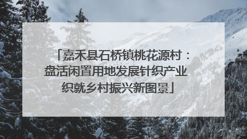 嘉禾县石桥镇桃花源村：盘活闲置用地发展针织产业 织就乡村振兴新图景