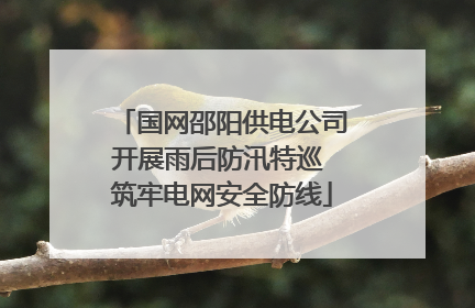 国网邵阳供电公司开展雨后防汛特巡 筑牢电网安全防线