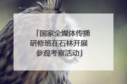 国家全媒体传播研修班在石林开展参观考察活动