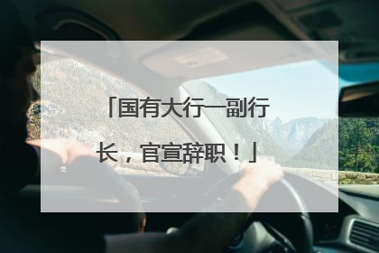 国有大行一副行长，官宣辞职！