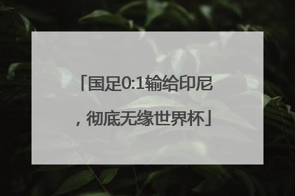 国足0:1输给印尼，彻底无缘世界杯