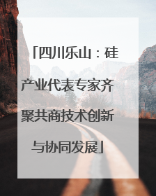 四川乐山：硅产业代表专家齐聚共商技术创新与协同发展