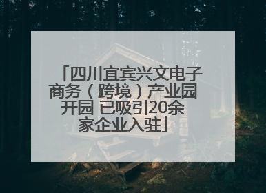 四川宜宾兴文电子商务（跨境）产业园开园 已吸引20余家企业入驻