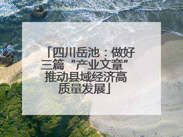 四川岳池：做好三篇“产业文章” 推动县域经济高质量发展