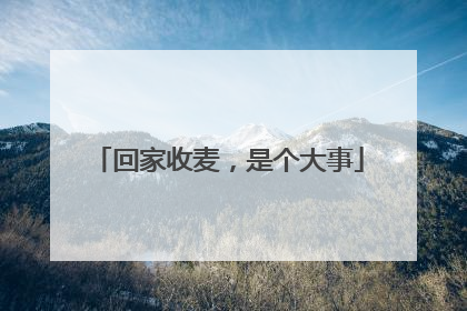 回家收麦，是个大事