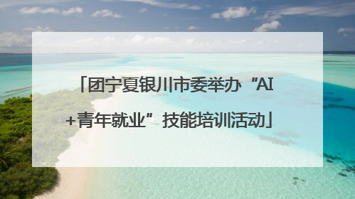 团宁夏银川市委举办“AI+青年就业”技能培训活动