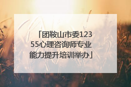 团鞍山市委12355心理咨询师专业能力提升培训举办
