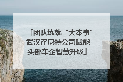 团队练就“大本事” 武汉霍尼特公司赋能头部车企智慧升级