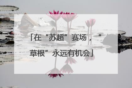 在“苏超”赛场，“草根”永远有机会