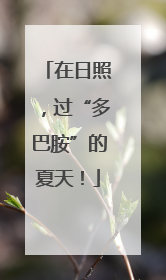 在日照，过“多巴胺”的夏天！