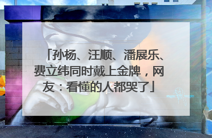 孙杨、汪顺、潘展乐、费立纬同时戴上金牌，网友：看懂的人都哭了