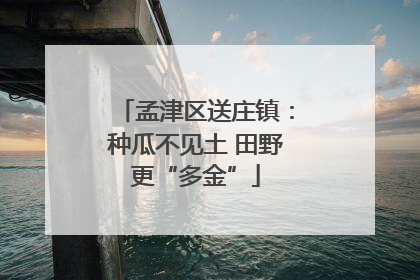孟津区送庄镇：种瓜不见土 田野更“多金”
