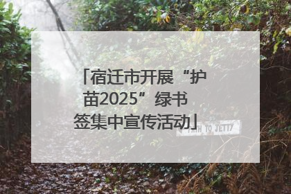 宿迁市开展“护苗2025”绿书签集中宣传活动