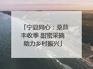 宁夏同心：桑葚丰收季 甜蜜采摘助力乡村振兴