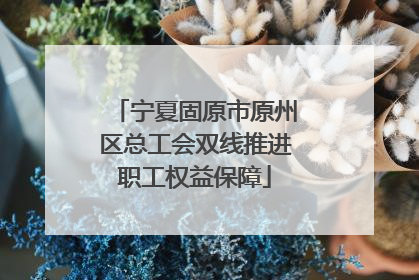 宁夏固原市原州区总工会双线推进职工权益保障