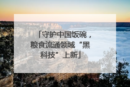 守护中国饭碗，粮食流通领域“黑科技”上新
