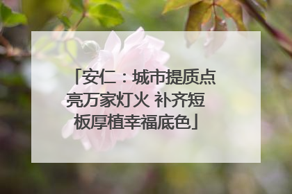安仁：城市提质点亮万家灯火 补齐短板厚植幸福底色