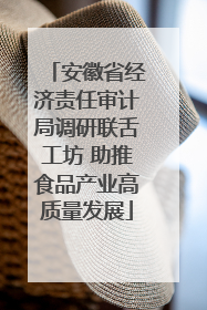安徽省经济责任审计局调研联舌工坊 助推食品产业高质量发展
