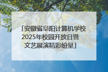 安徽省阜阳计算机学校2025年校园开放日暨文艺展演精彩纷呈