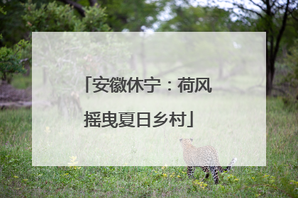 安徽休宁：荷风摇曳夏日乡村
