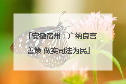 安徽宿州：广纳良言善策 做实司法为民