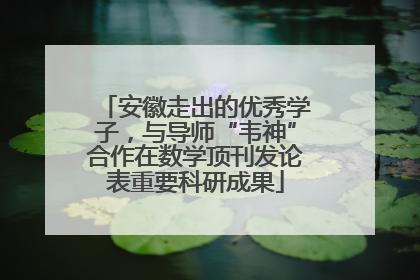 安徽走出的优秀学子，与导师“韦神”合作在数学顶刊发论表重要科研成果
