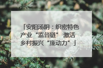 安阳汤阴：织密特色产业“监督链” 激活乡村振兴“廉动力”