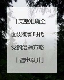 完整准确全面贯彻新时代党的治疆方略丨疆电跃升